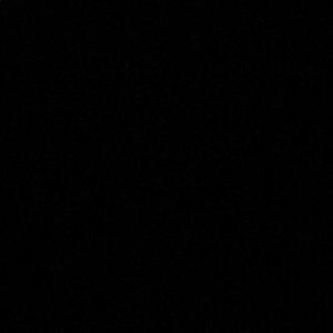 Meet your Posher, Myles